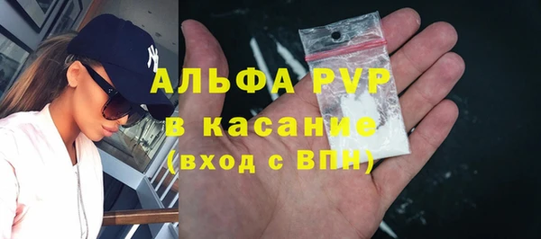 сатива Абаза