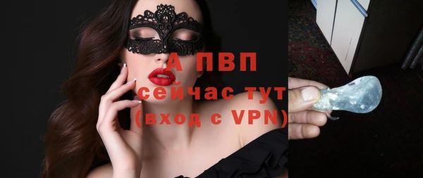 сатива Абаза
